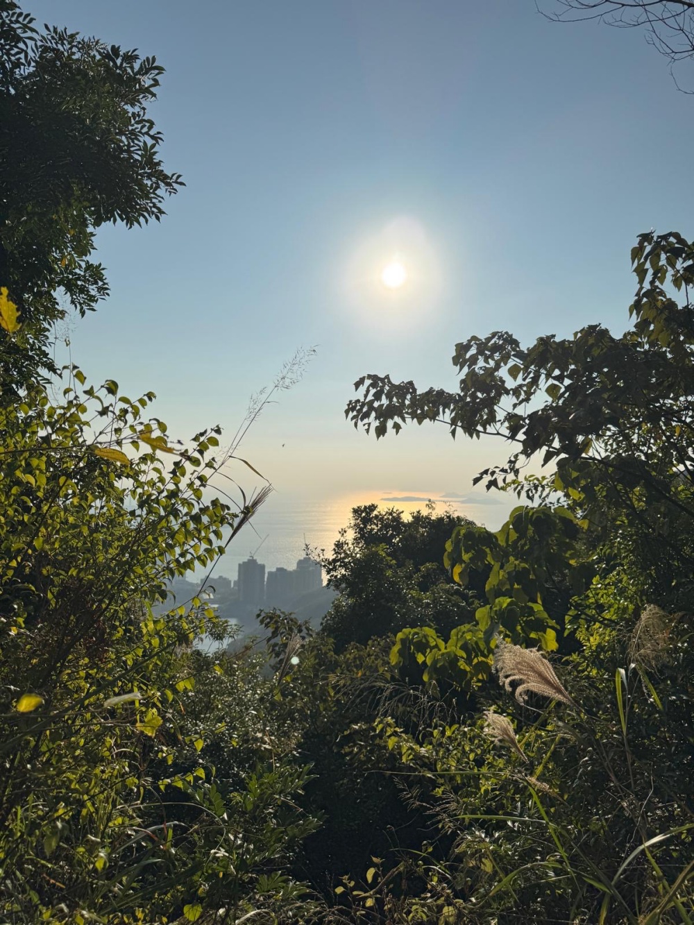 Hakme 心靈成長分享：面對嫉妒與比較，像陽光一樣專注溫暖自己，將負面情緒轉化為前進動力。